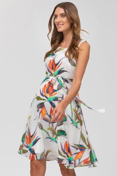 Maternity Dress with Strelizia Print