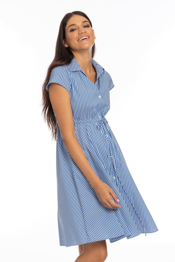 Maternity and Nursing Shirt Dress striped blue