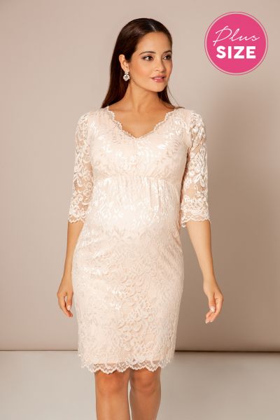 Plus Size Maternity Lace Wedding Dress with V-Neck Blush