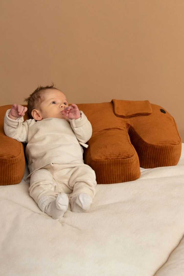 Baby and Nursing Cushion Dog Design caramel
