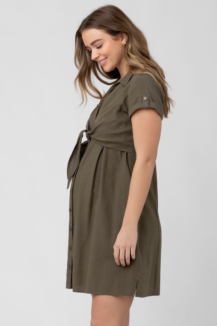 Maternity and Nursing Shirt Dress